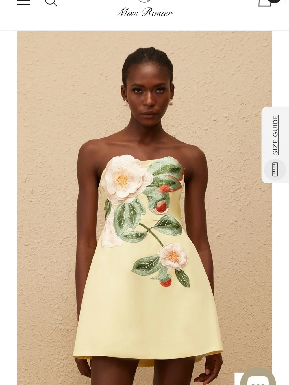 Yellow Floral Embroidered Mini Dress - Picture 1 of 2